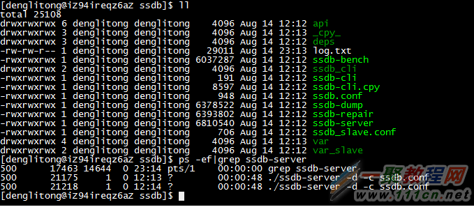 ssdb-server.png